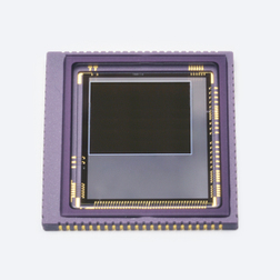 S16101