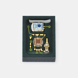 S16429-02CT