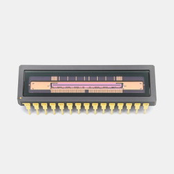 S16929-01